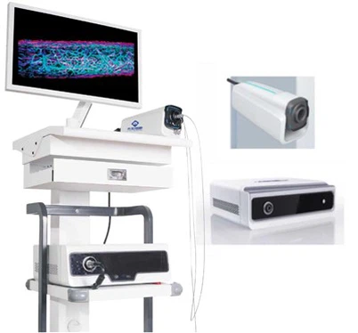 Multimodalt endoskopisk billeddannelsessystem